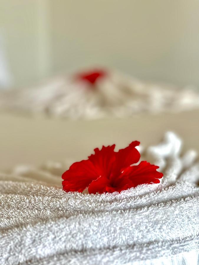 Jambiani White Sands Bungalows Kültér fotó