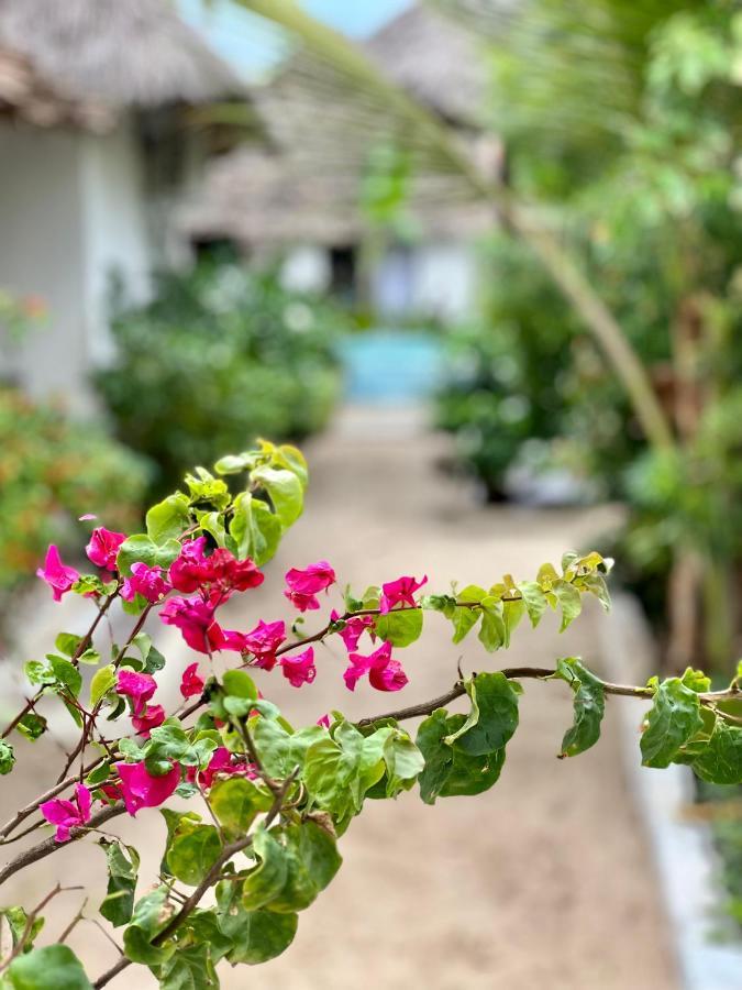 Jambiani White Sands Bungalows Kültér fotó