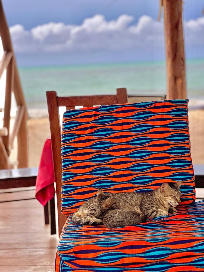 Jambiani White Sands Bungalows Kültér fotó