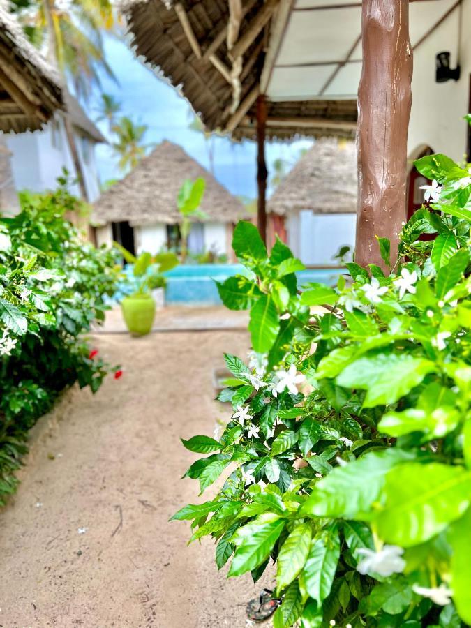Jambiani White Sands Bungalows Kültér fotó